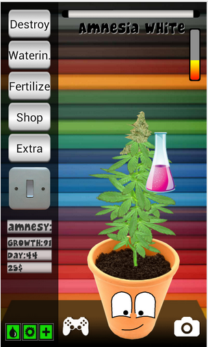My Weed :- Plant grown